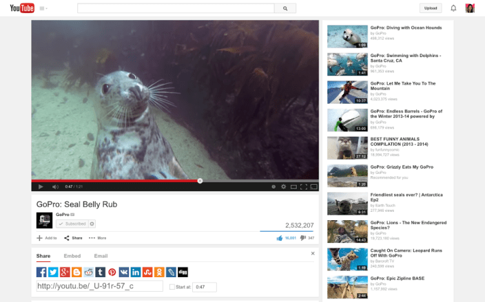 watch8seal-share