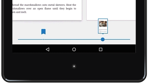 playbook-skimcontrol