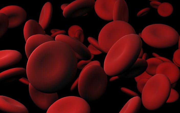 red-blood-cells