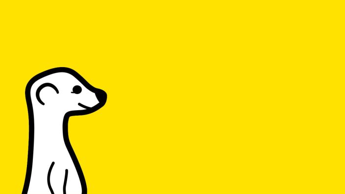 meerkat-1280x720-feature