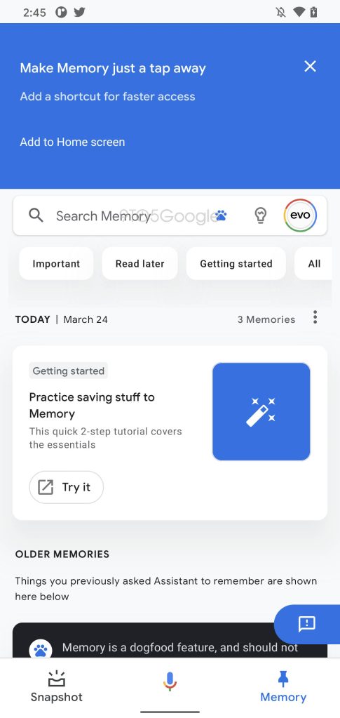 Google Assistant Memory