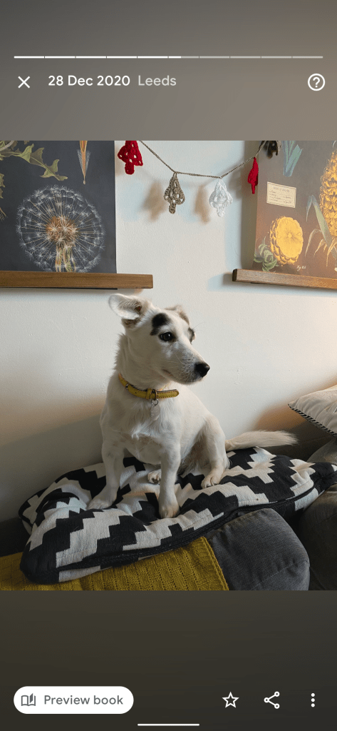 google photos best of winter 2020