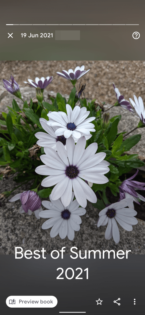 Google Photos Best of summer 2021
