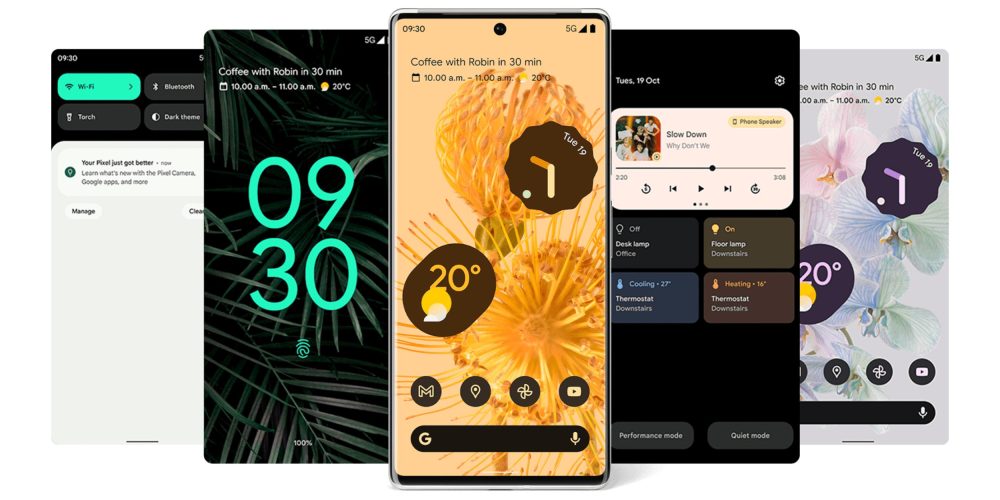 Pixel 6 Pro leak