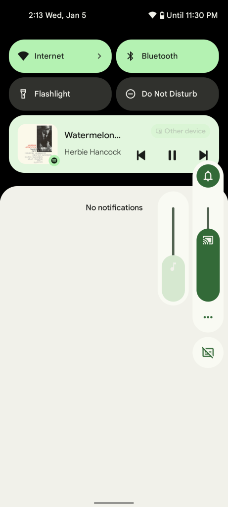 Pixel Chromecast volume controls, on the January security patch