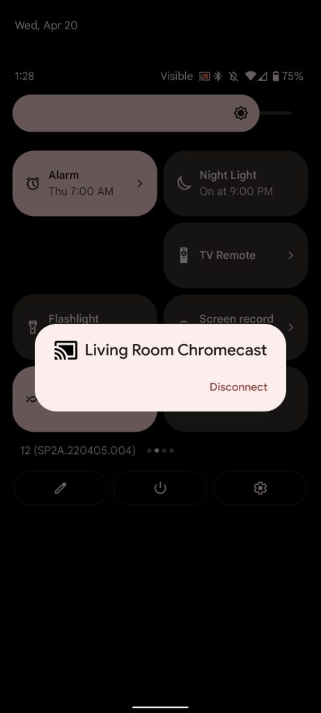 Disconnect from Screen Cast