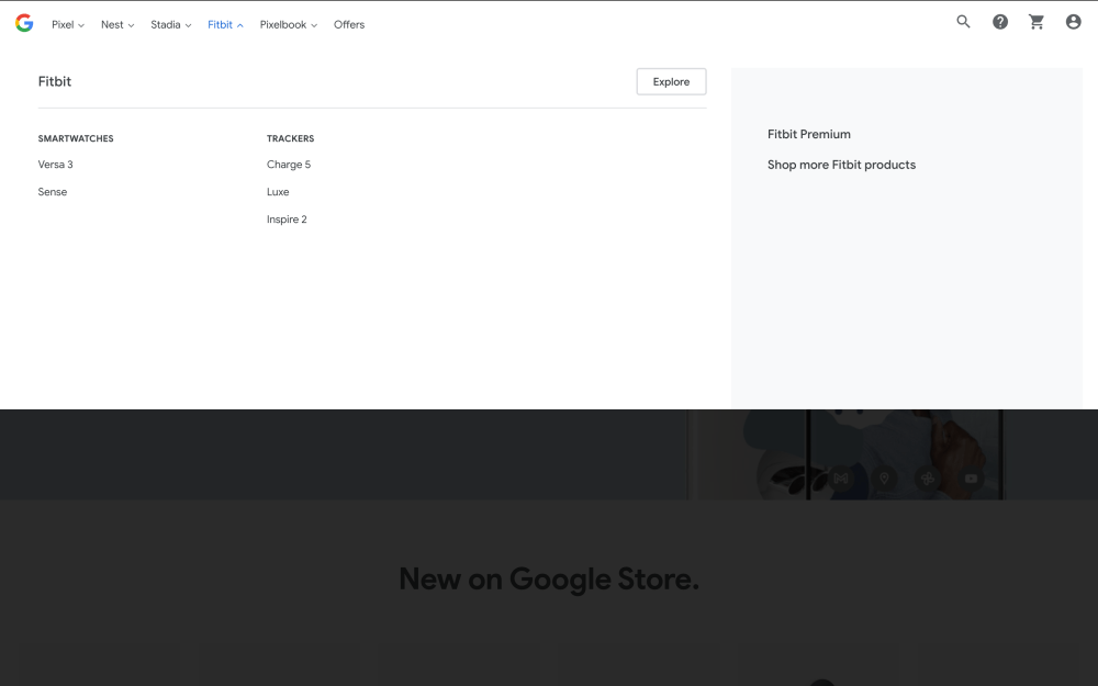 Google Store Pixel Watch