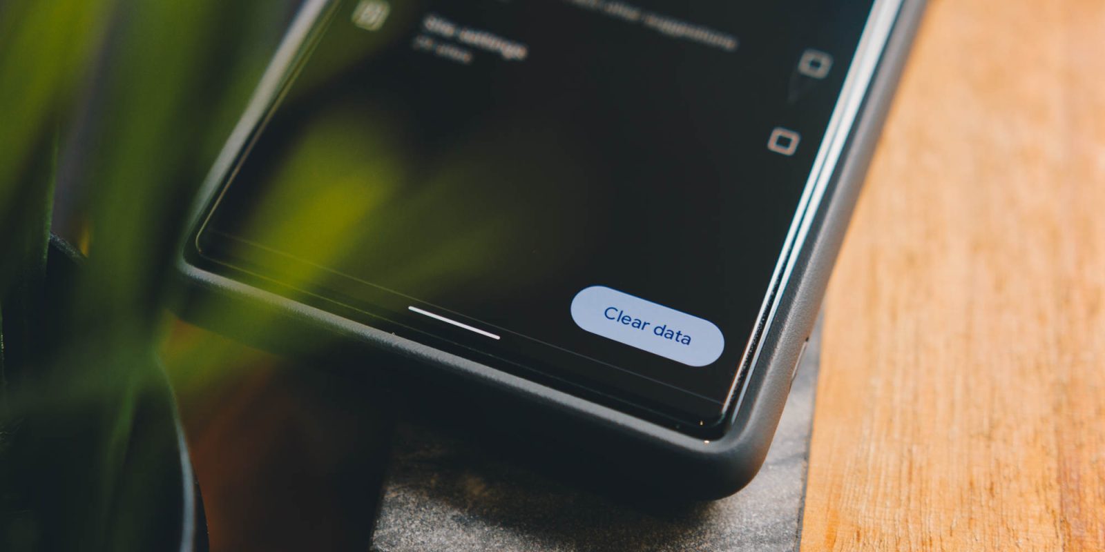 clear passwords in Google Chrome and turn off autofill