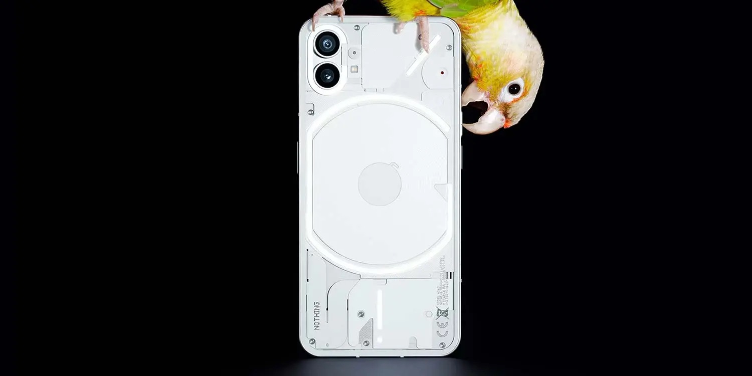 nothing phone 1 with bird