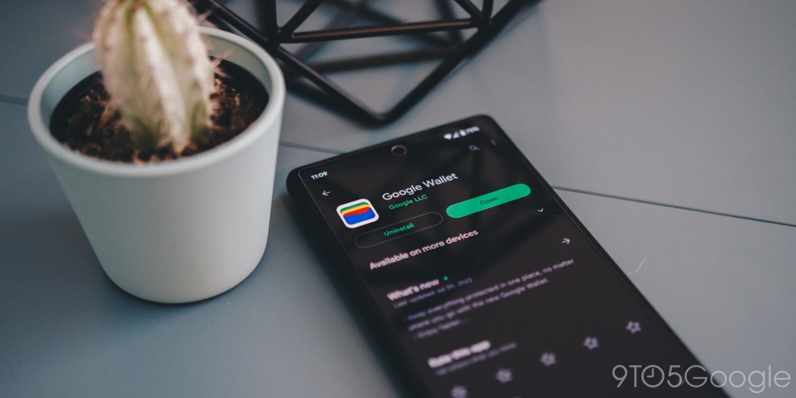 Install update Google Wallet