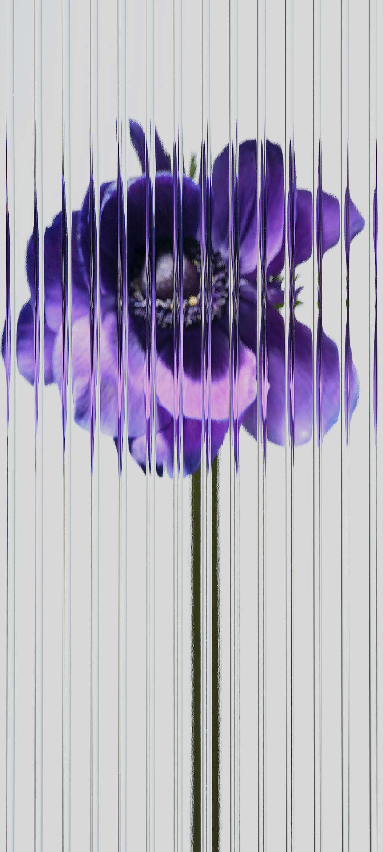 Nothing Phone (1) wallpapers