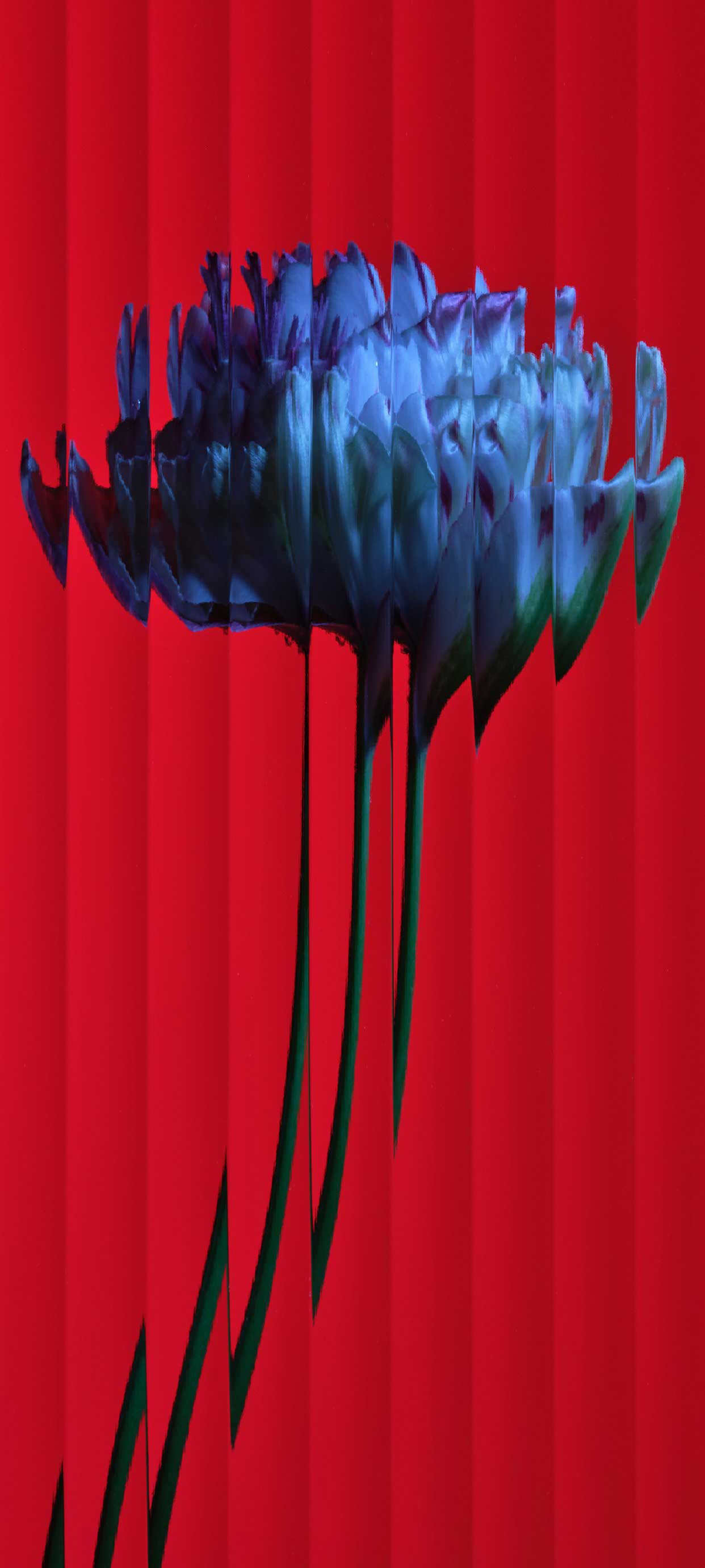 Nothing Phone (1) wallpapers