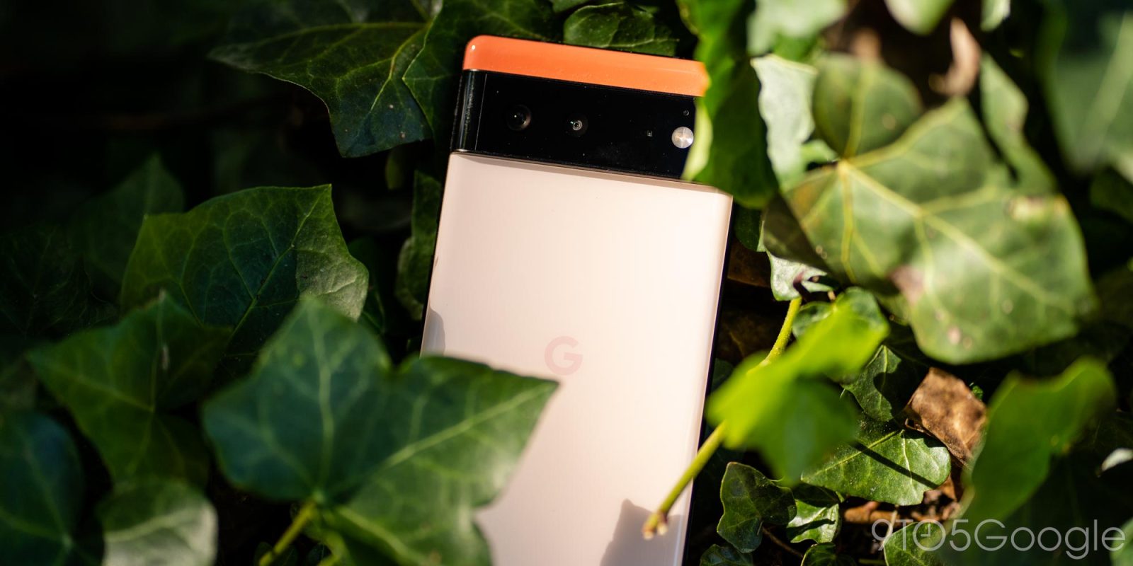 google pixel 6 kinda coral