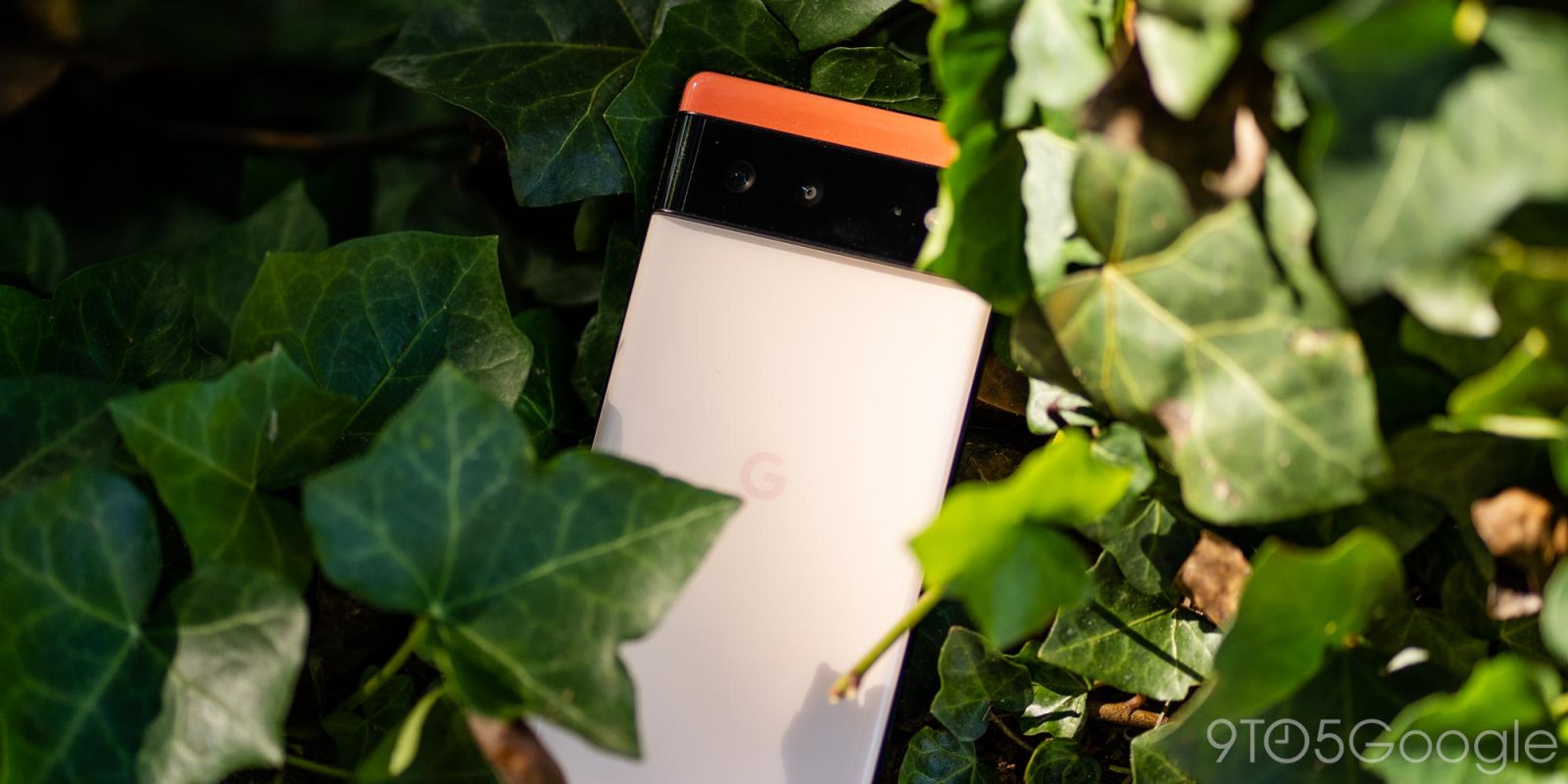 google pixel 6 kinda coral