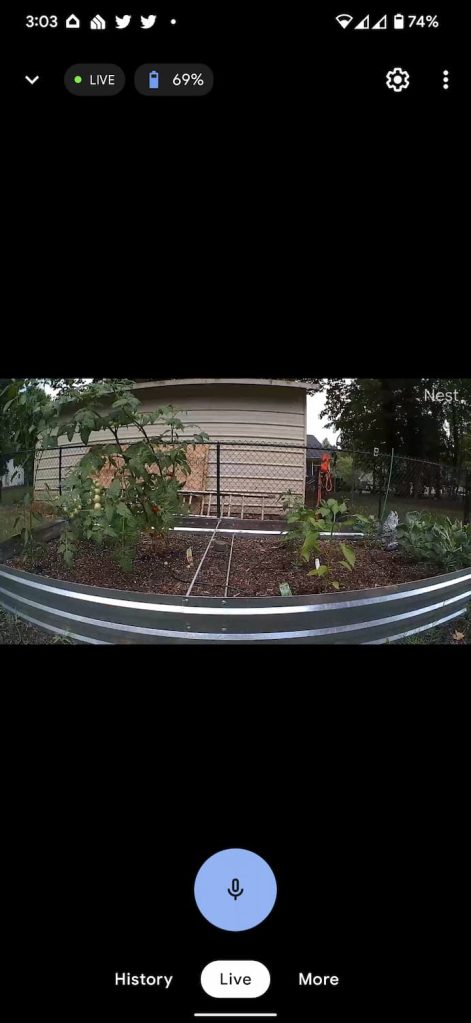 nest cam (battery) app live