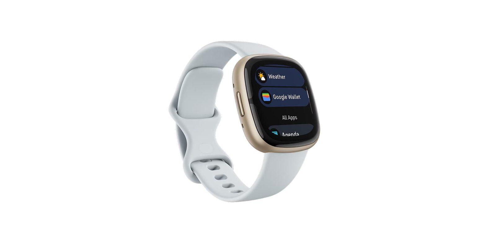 Fitbit Google Wallet Sense 2 Versa 4