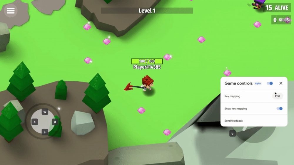 ChromeOS game controls