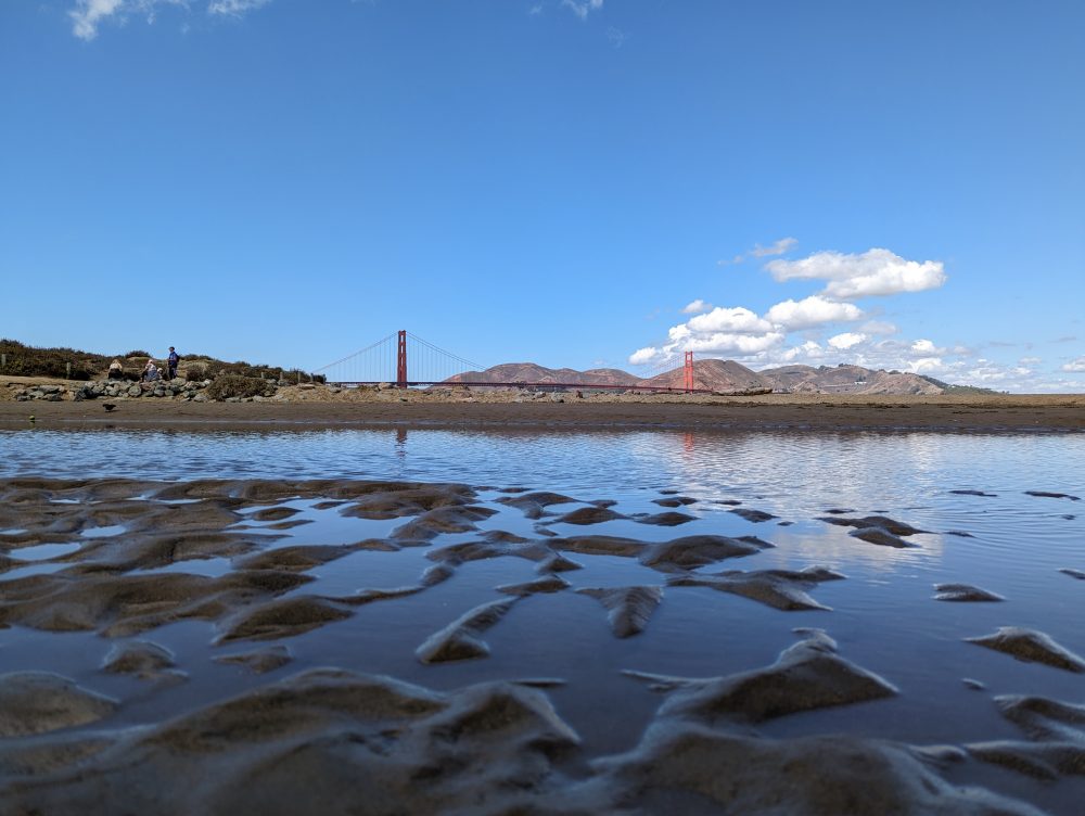 Pixel 7 Pro camera samples