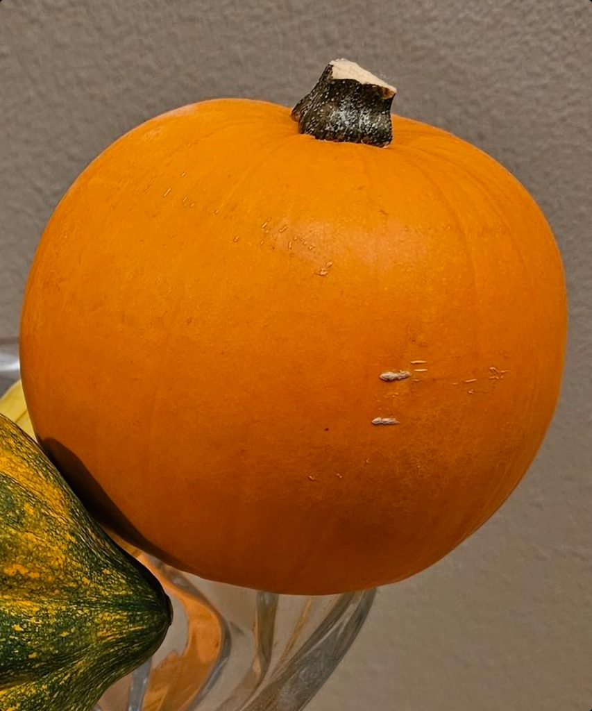galaxy s23 ultra zoom shot