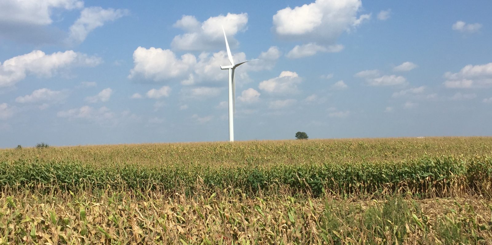 amazon wind
