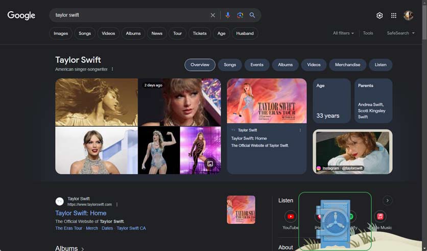 taylor swift puzzle