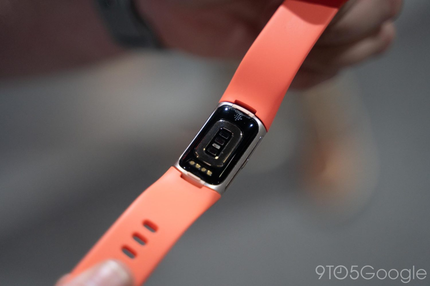 Fitbit Charge 6 heart rate