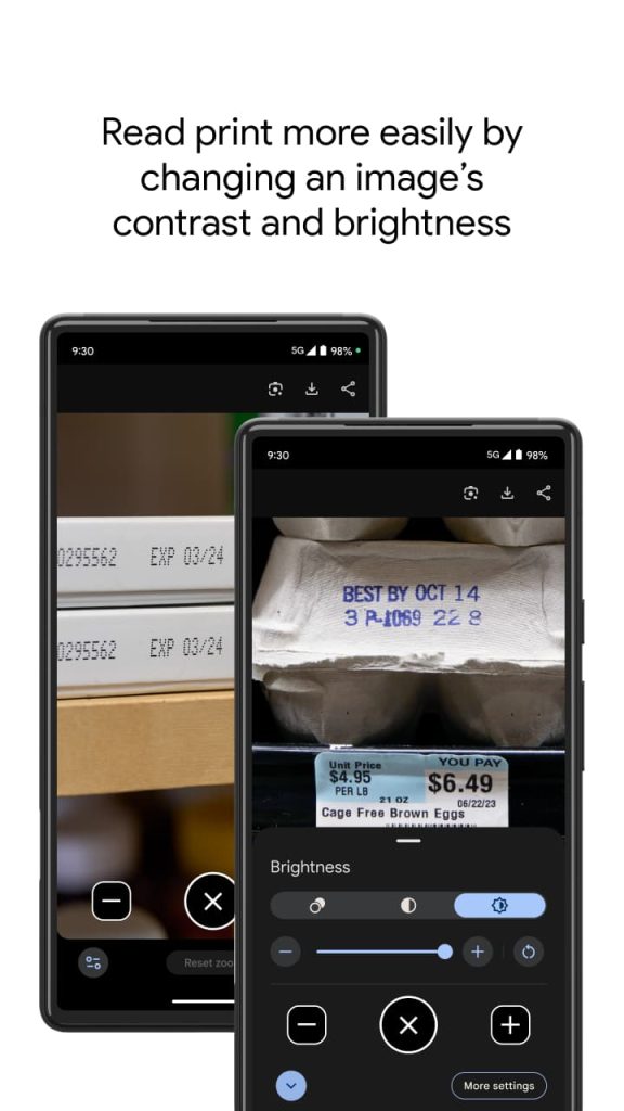 Google Pixel Magnifier