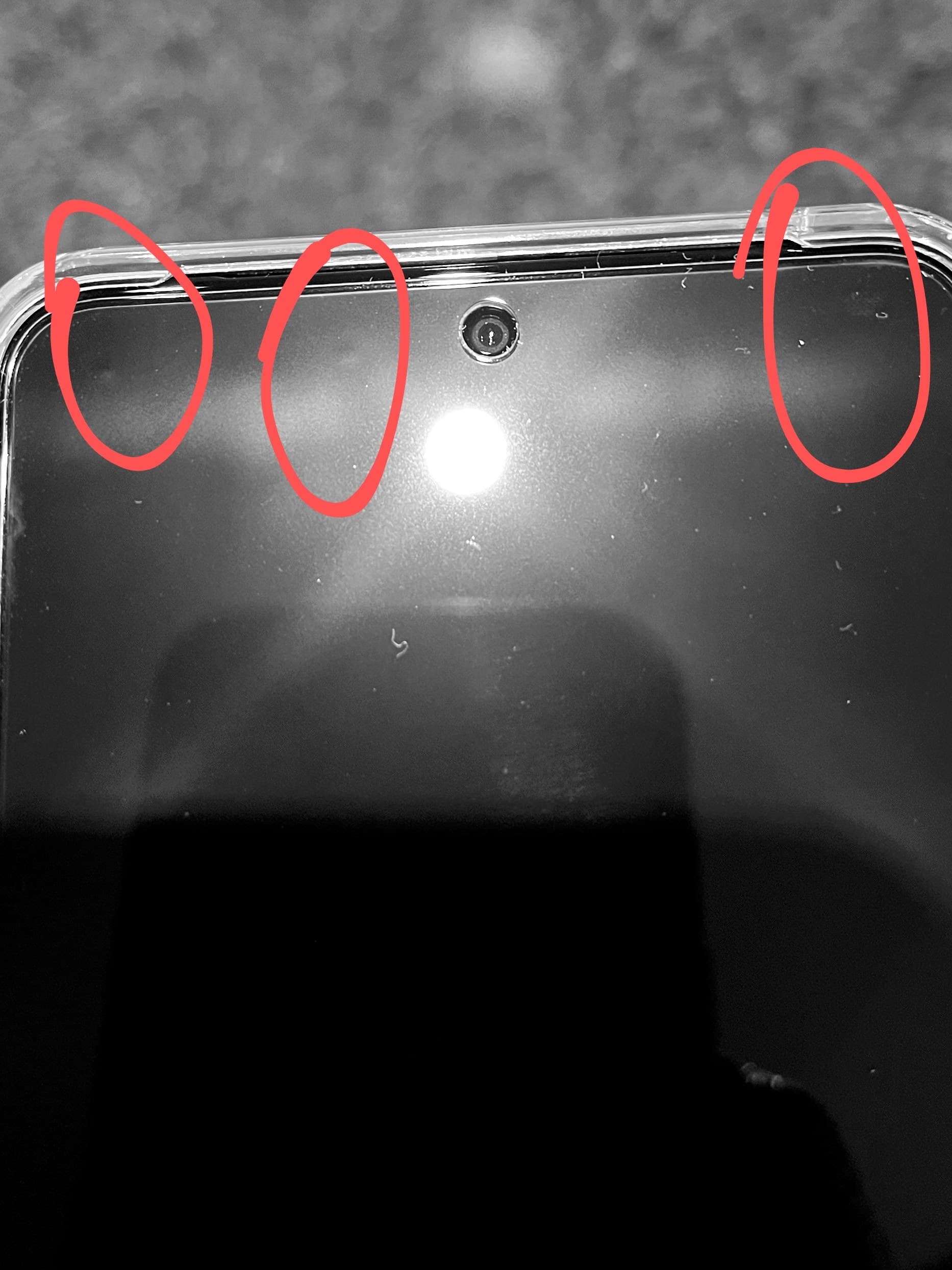 Pixel 8 Pro bumps