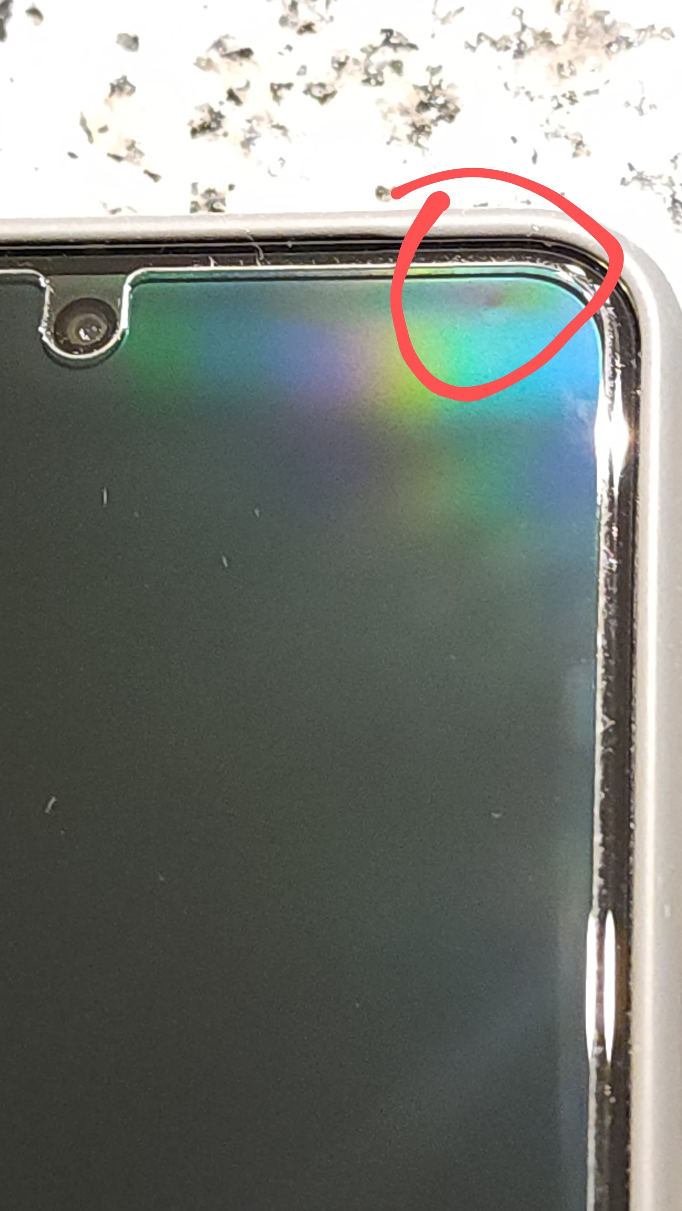 Pixel 8 Pro bumps