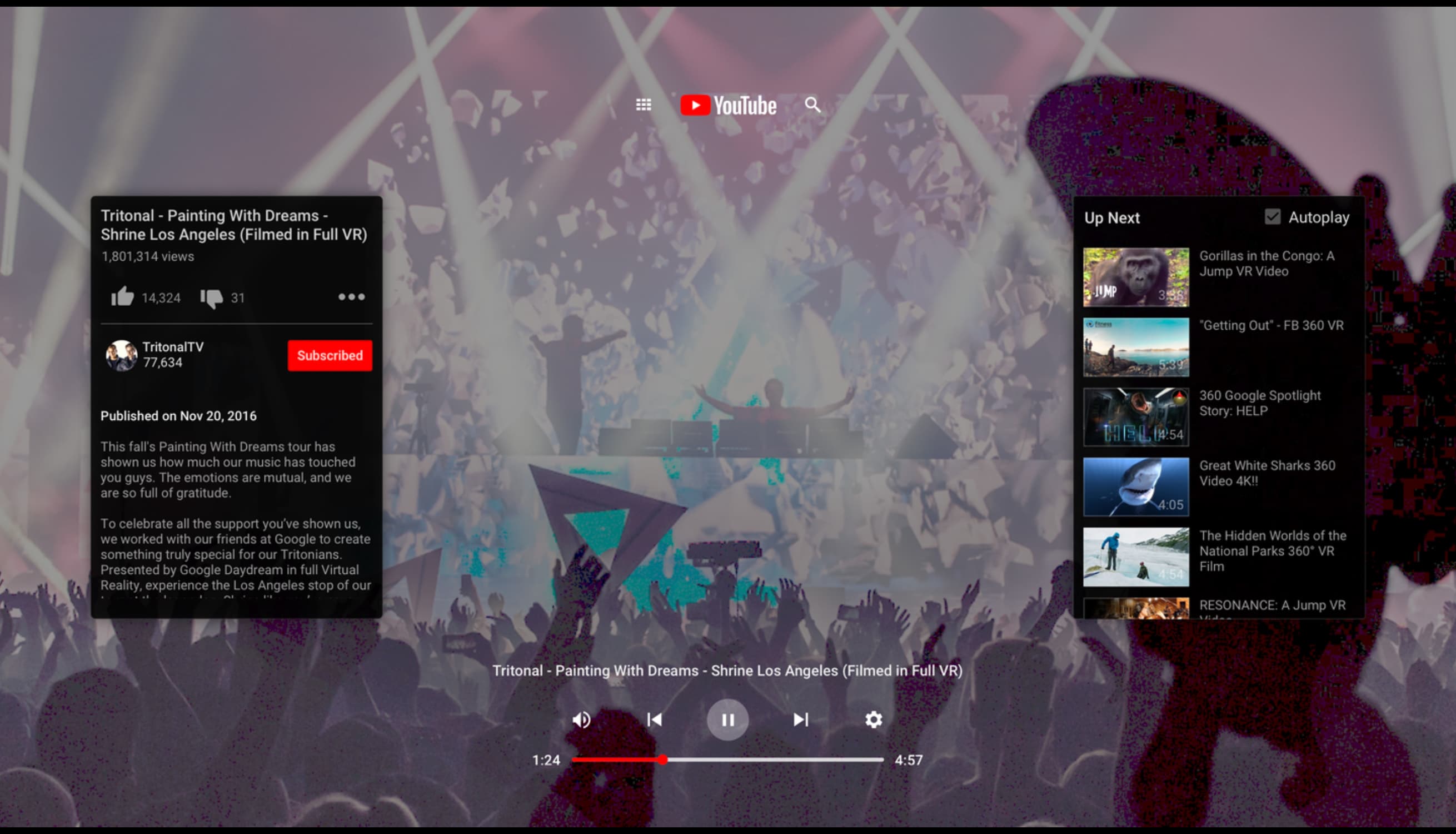 Google Vision Pro
