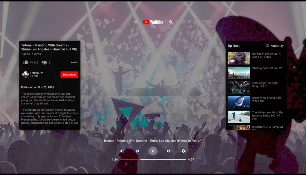 Google Vision Pro