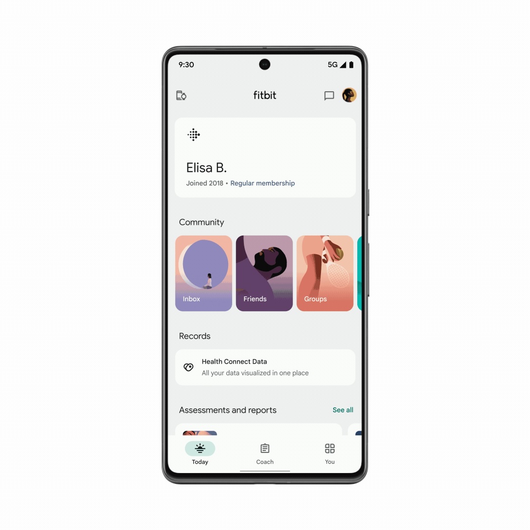 Fitbit Health Connect
