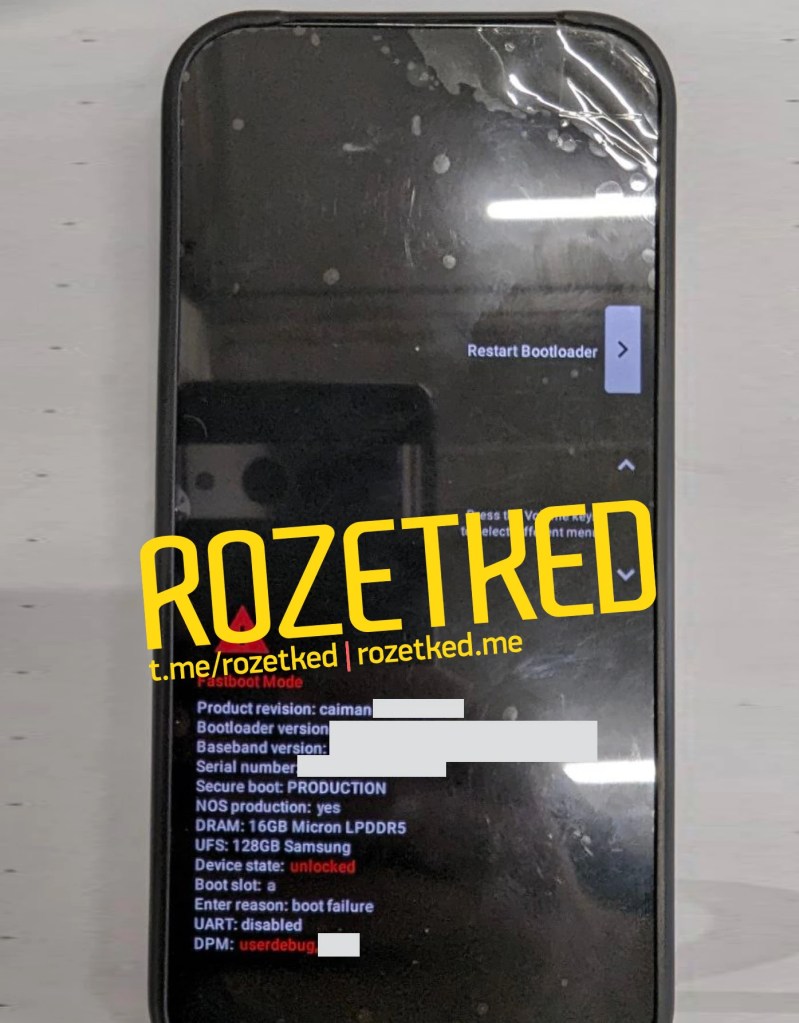 Pixel 9 Pro leak