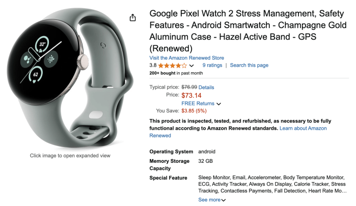 pixel watch 2 steal